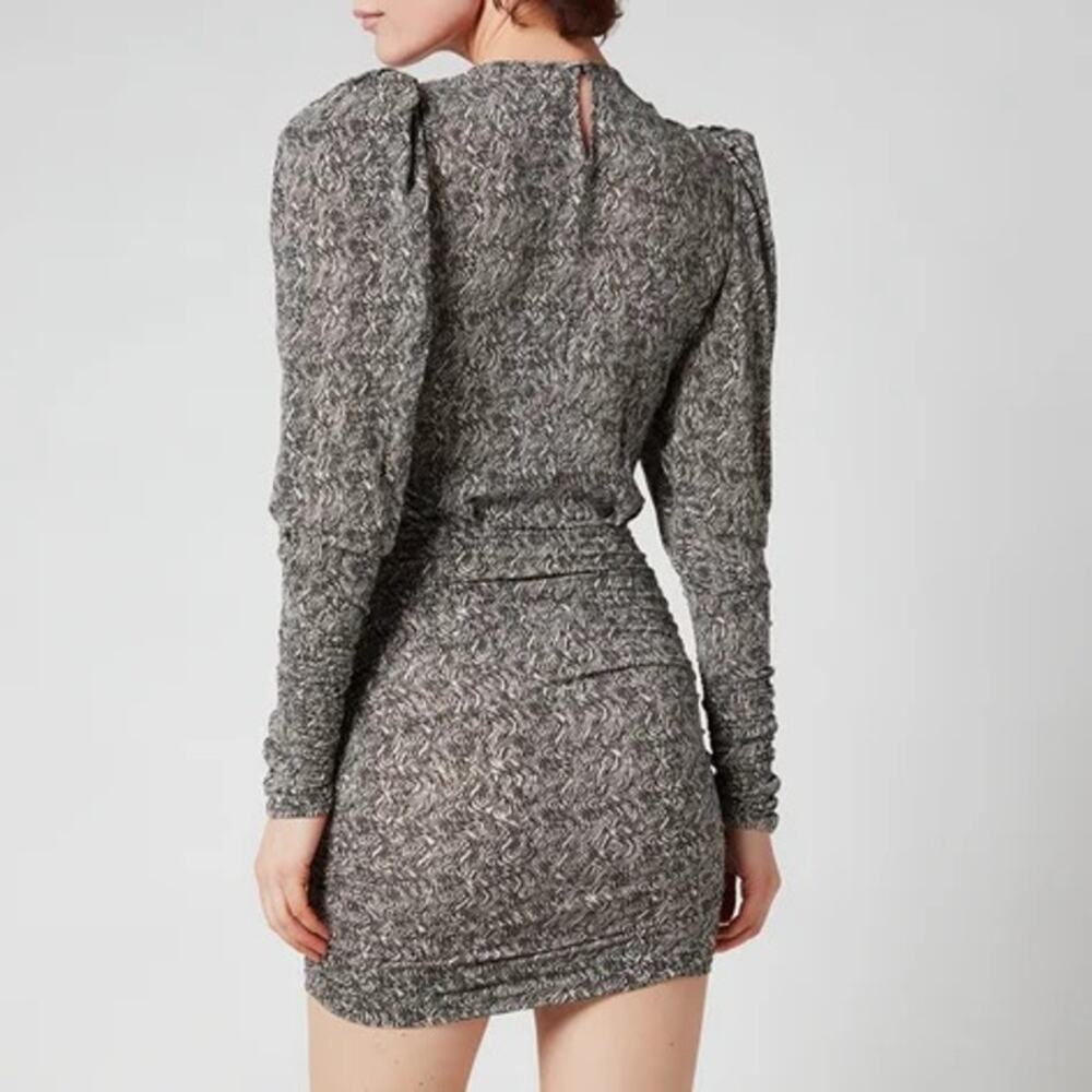 Isabel Marant Ghita Zebra Mini Dress NWT Sold Out $812 - Picture 11 of 12